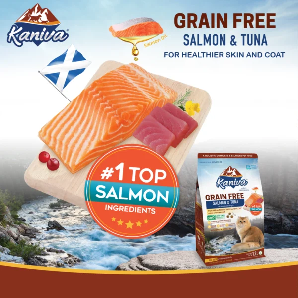 Kaniva Grain Free Salmon For Cats Over 4 Months - Image 2