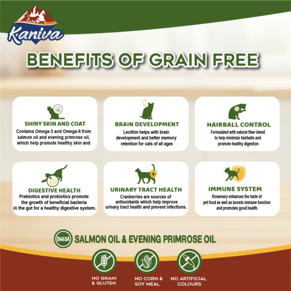 Kaniva Grain Free Indoor Formula Over 4 Months - Image 5