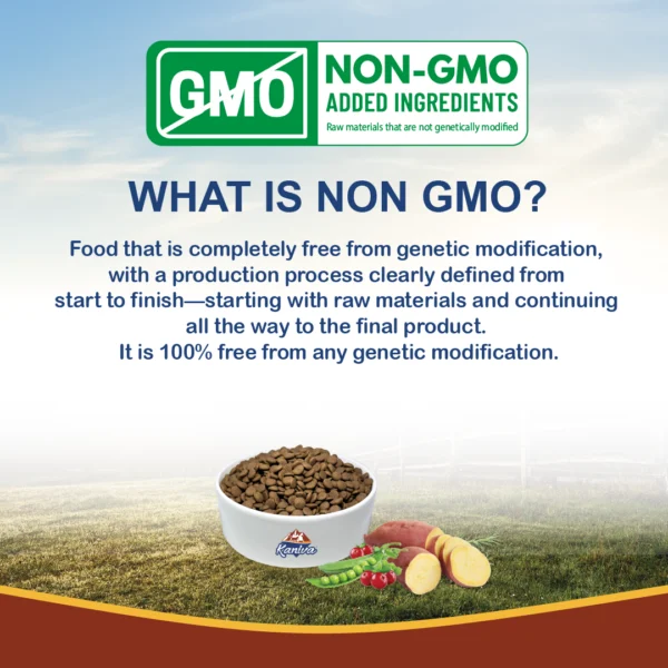 Kaniva Grain Free Indoor Formula Over 4 Months - Image 8