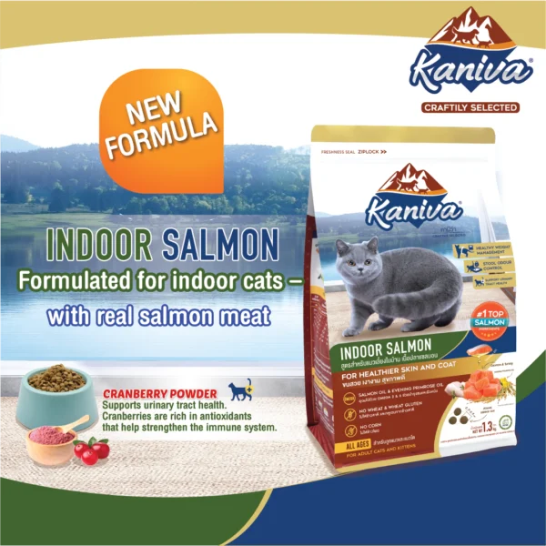 Kaniva Indoor Salmon Formula For Cats Over 4 Months - Kaniva Pet Food BD - Best Kitten Food With Salmon For Indoor Cats
