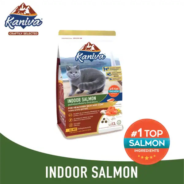 Image showcasing Kaniva Indoor Salmon Formula For Cats Over 4 Months - Kaniva Pet Food BD