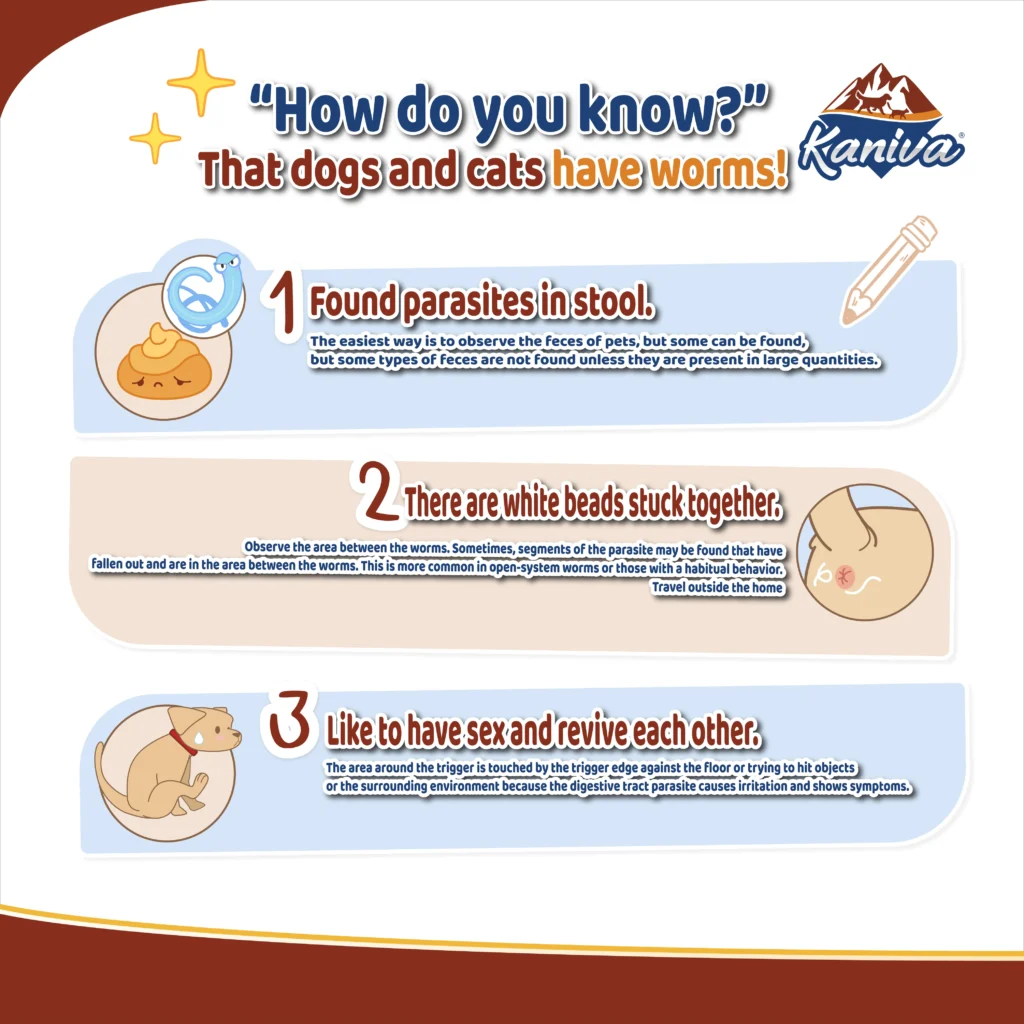 How to Tell if Your Dog or Cat Has Worms: Key Symptoms and What to Do