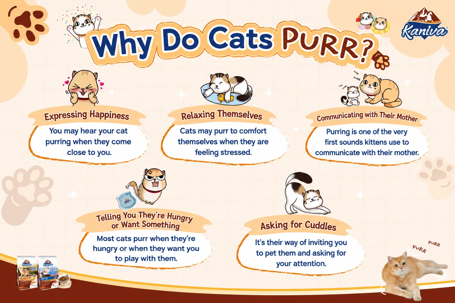 Why Do Cats Purr