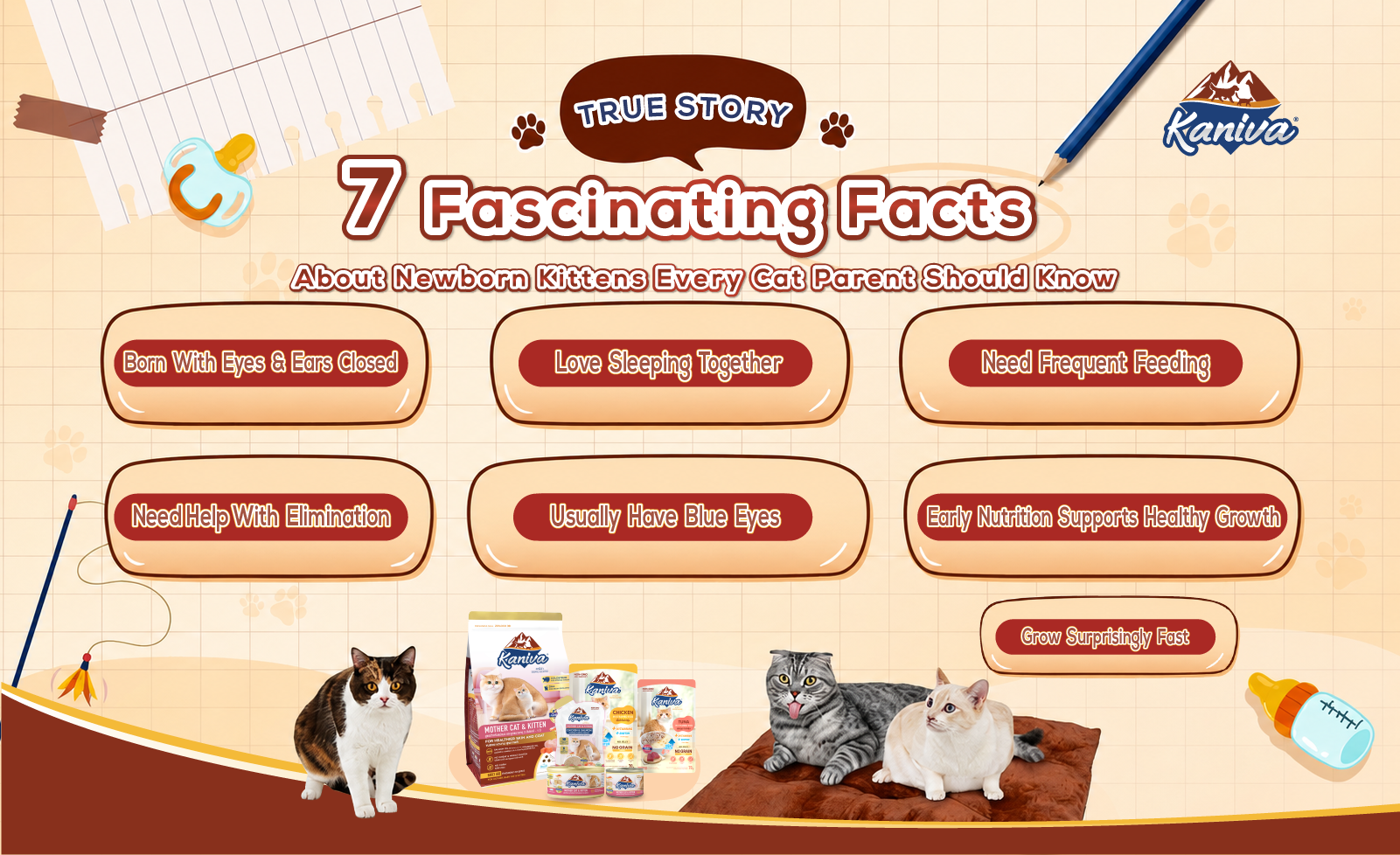 7 Facts About Newborn Kittens | Kitten Care Guide | Kaniva