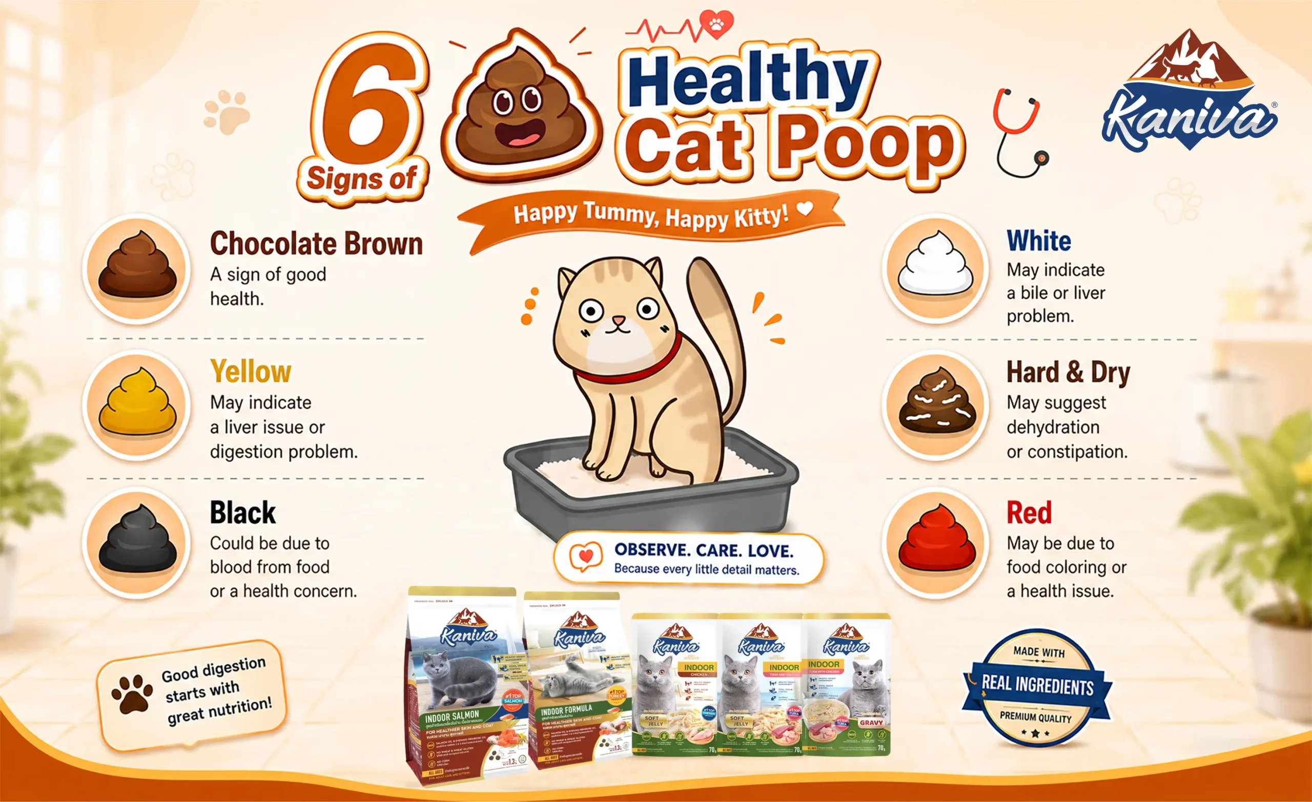 Healthy and unhealthy cat poop color guide for pet owners